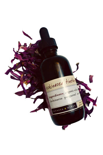 PANACEA HERBS Echinacea Tincture