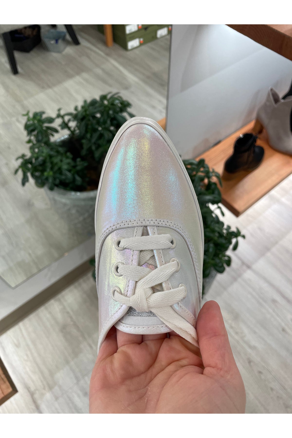 KEDS Point Irridescent 67726 *Final Sale*