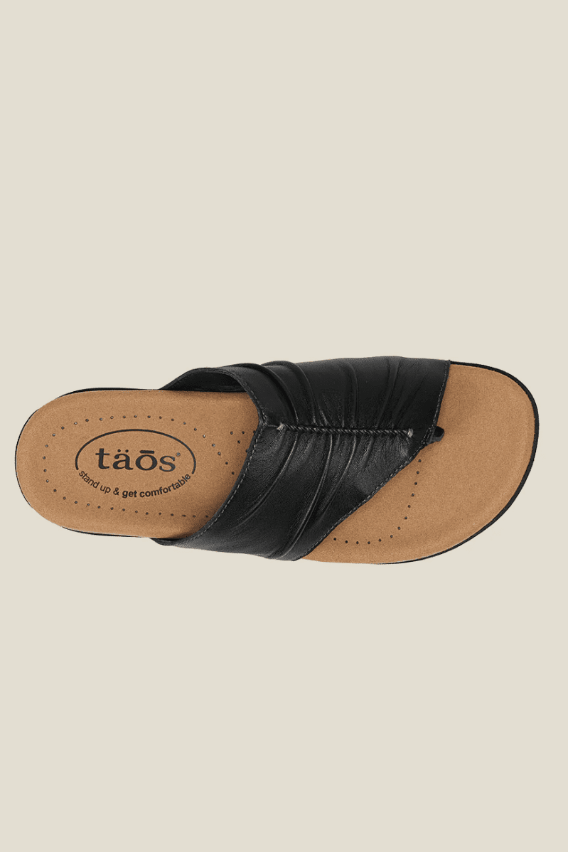 TAOS Gift 2