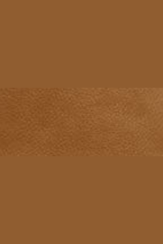 THE TREND 135577 Florence Leather Waist Bag