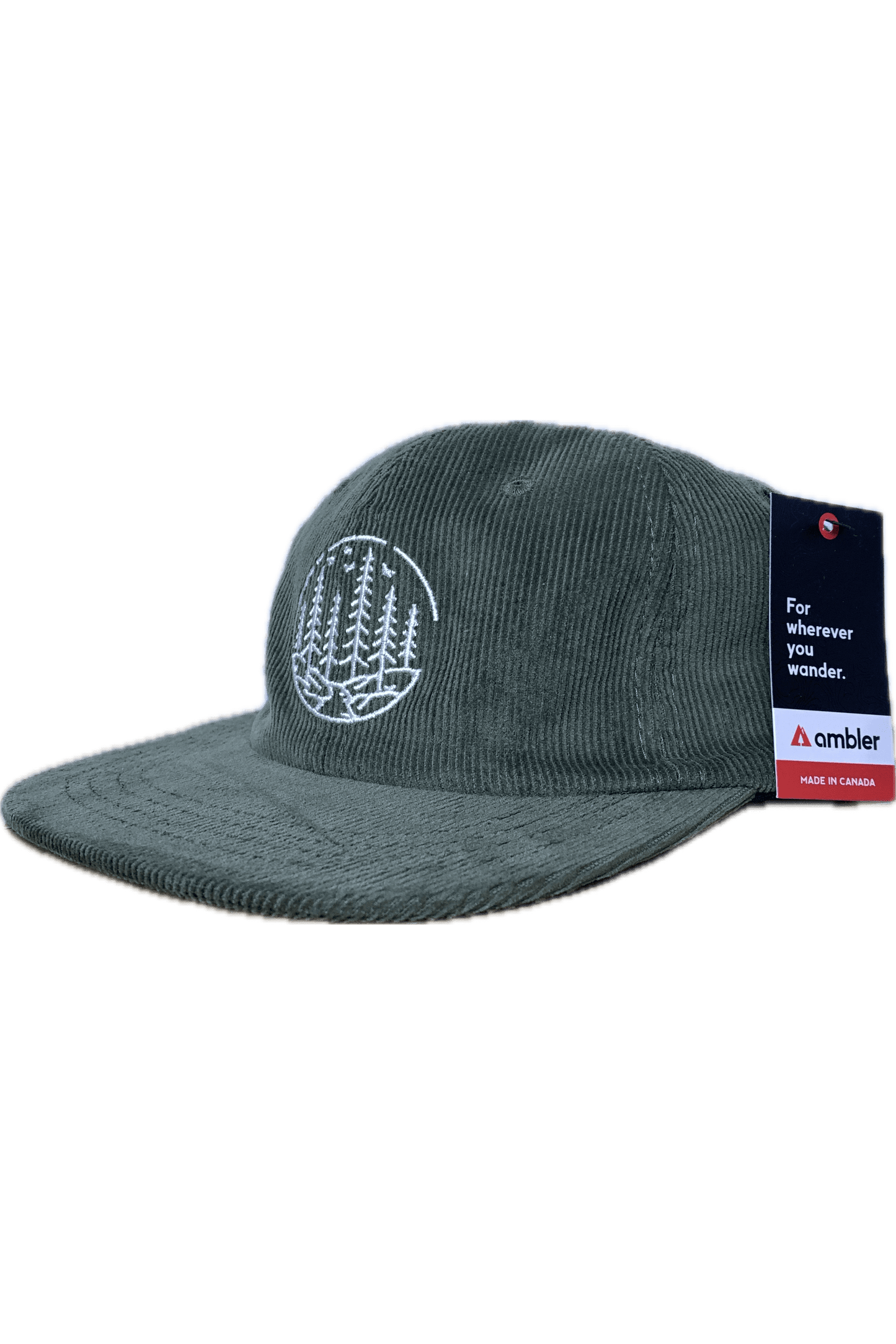 AMBLER Remey Dad Hat