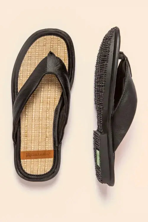 EL NATURALISTA N5931
