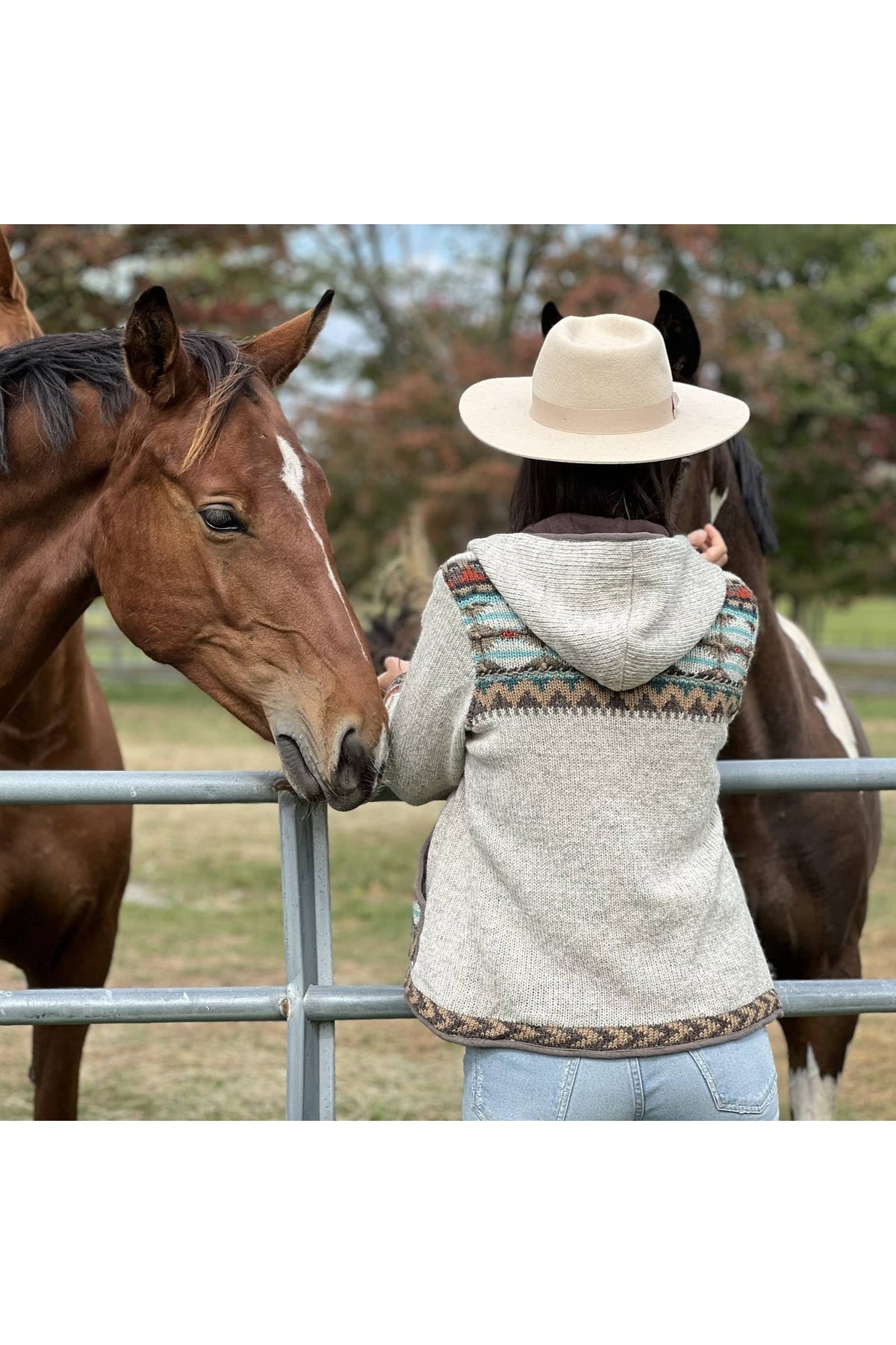 Lost Horizons Canada  Dakotah Hooded Wool Sweater with Western Pattern
