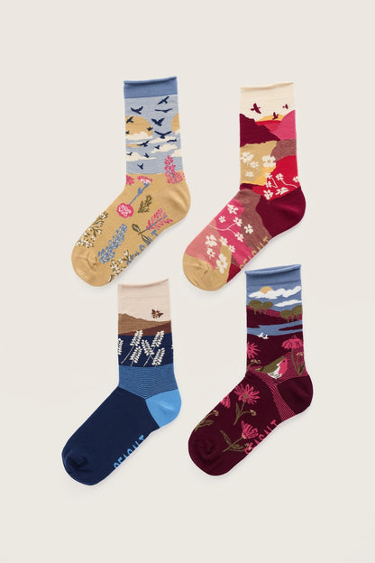 SEASALT Giftbox of 4 Womens Arty Socks