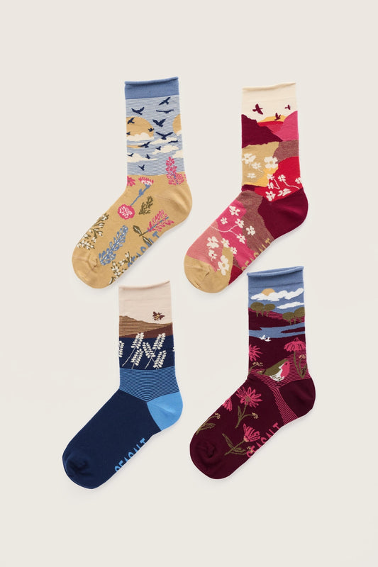 SEASALT Giftbox of 4 Womens Arty Socks