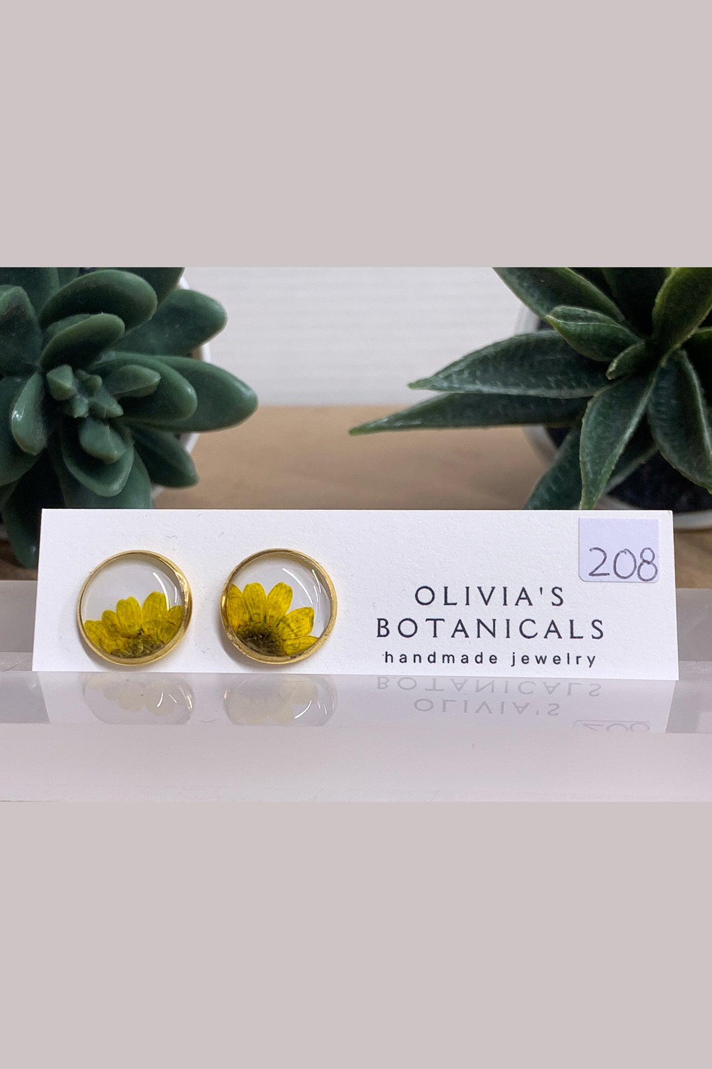 OLIVIA'S BOTANICALS Earrings Medium Circle Studs