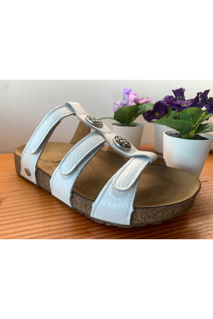HAFLINGER Alice 819032