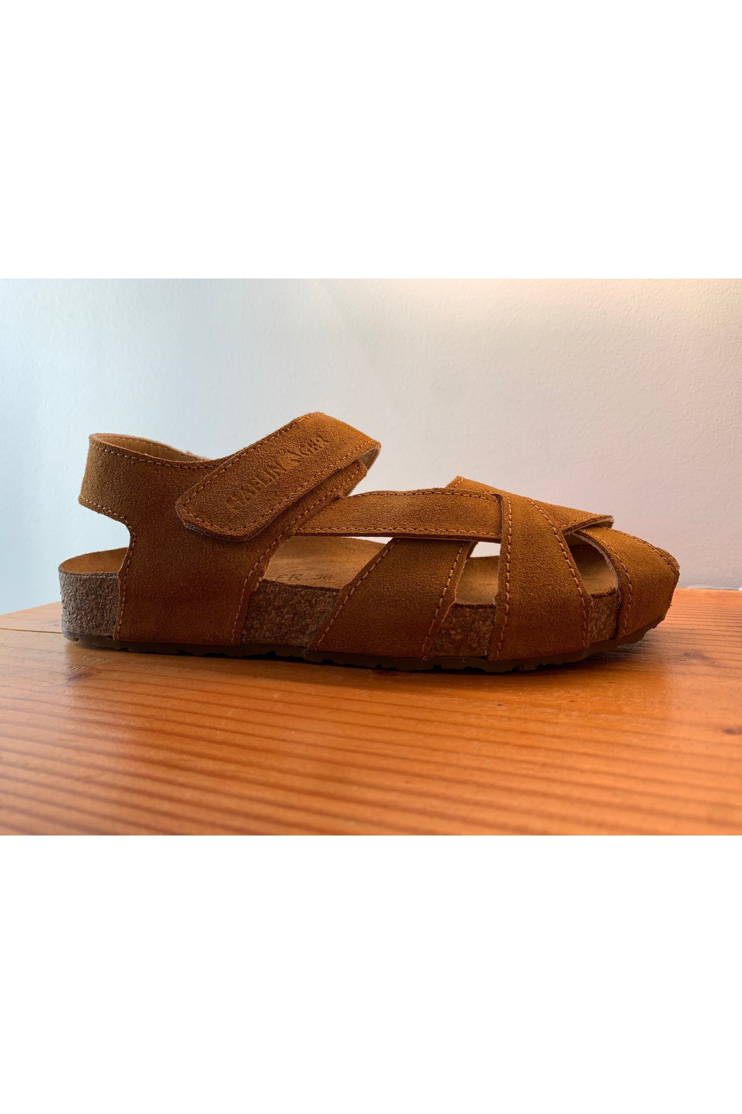 HAFLINGER Norma 819098