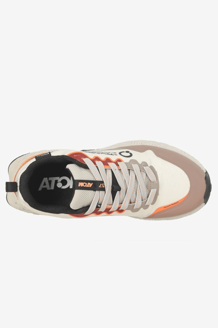 ATOM AT176