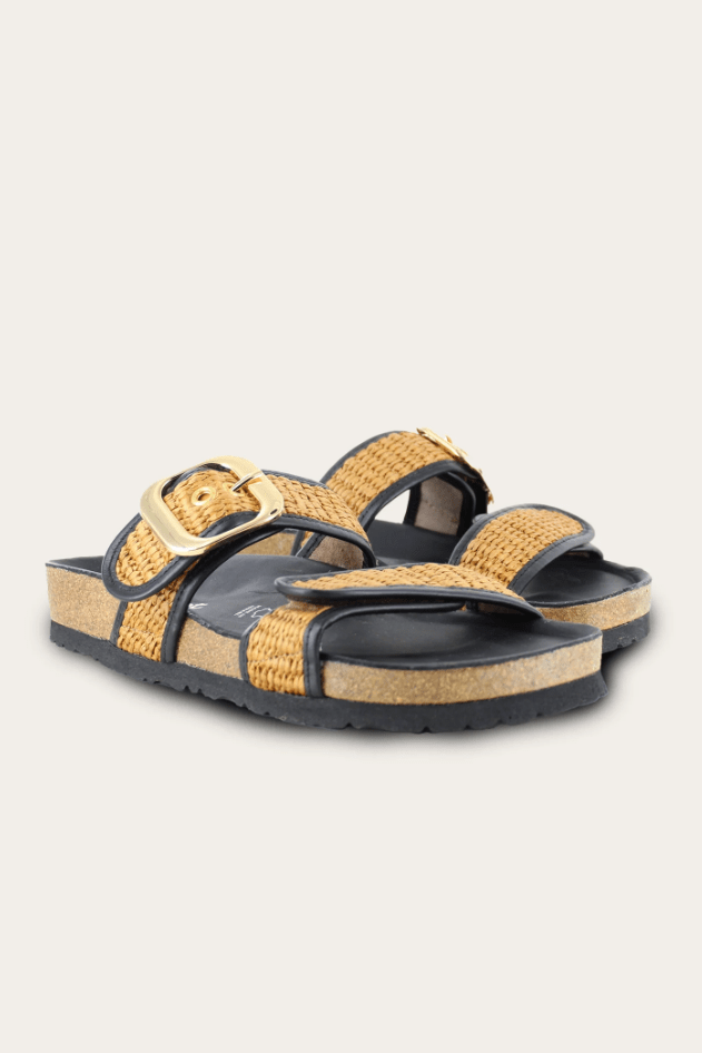 NAOT Nashville 101208