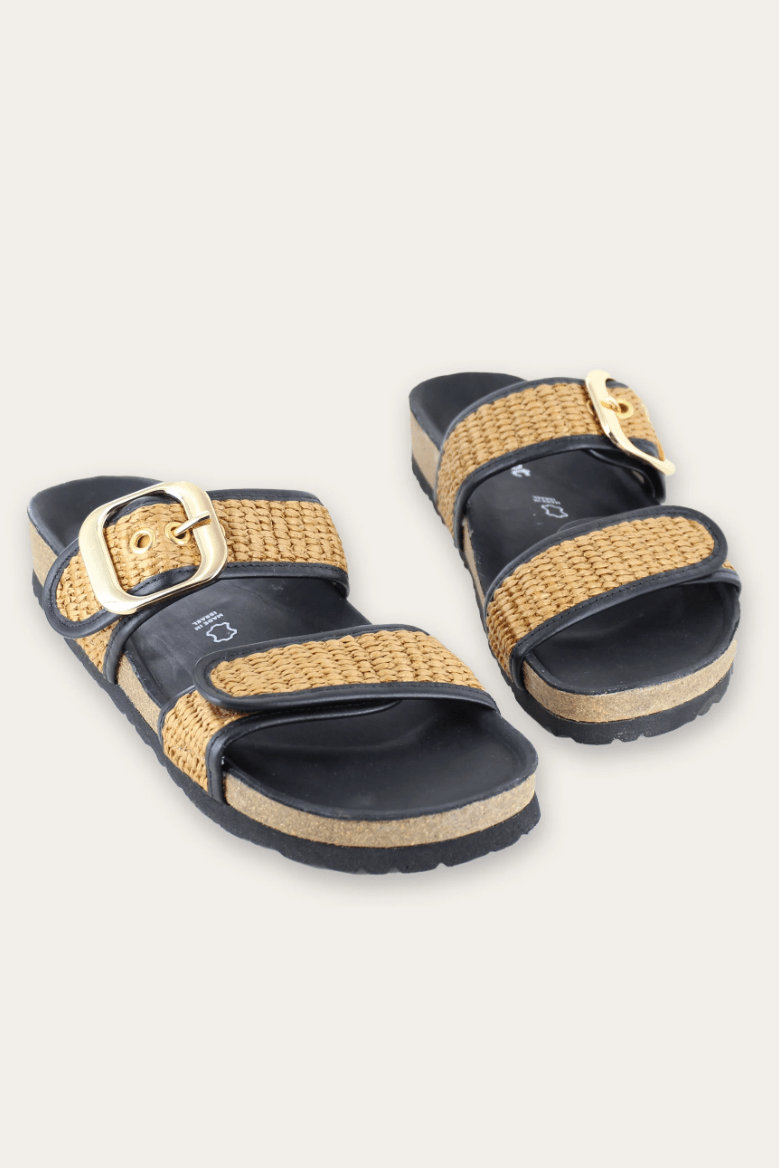 NAOT Nashville 101208