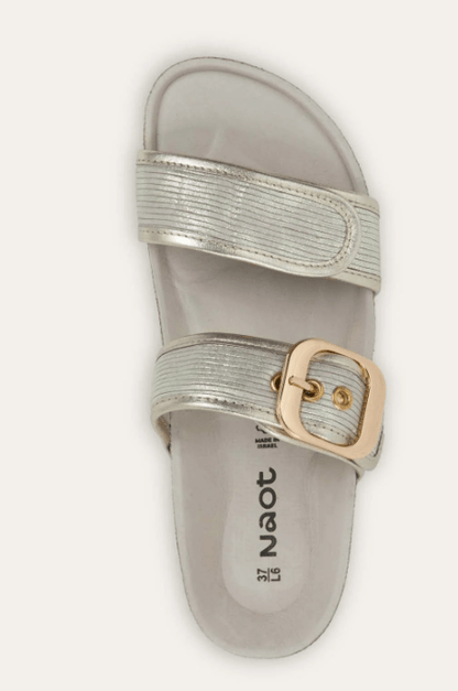 NAOT Nashville 101208