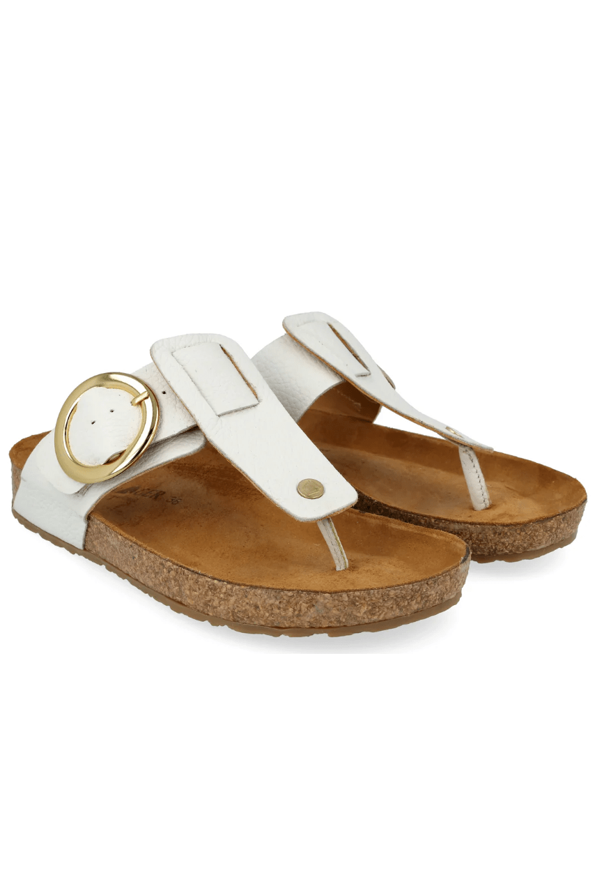 HAFLINGER Round Buckle Corinna 819075