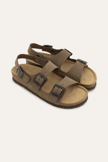 NAOT Little Sure 101114