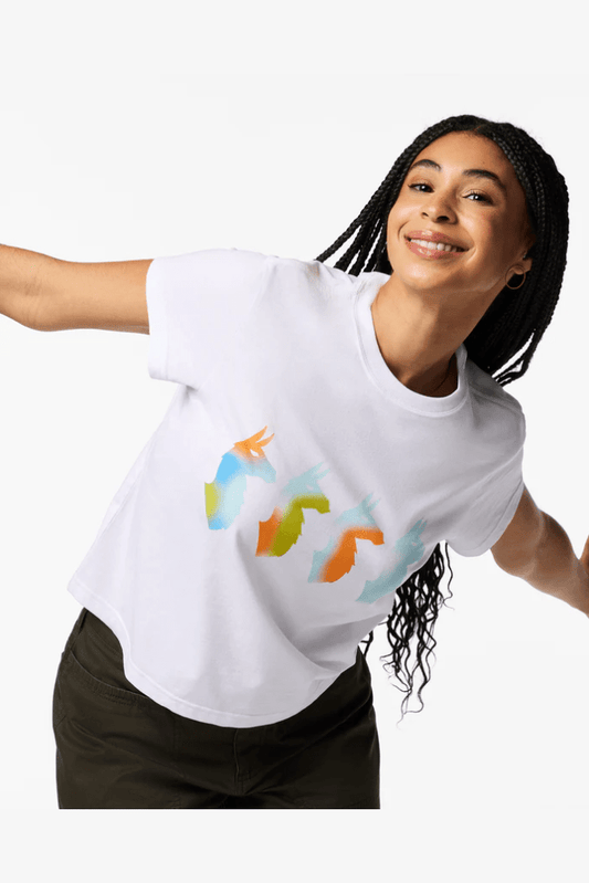 COTOPAXI Cuatro Bitmap T-Shirt