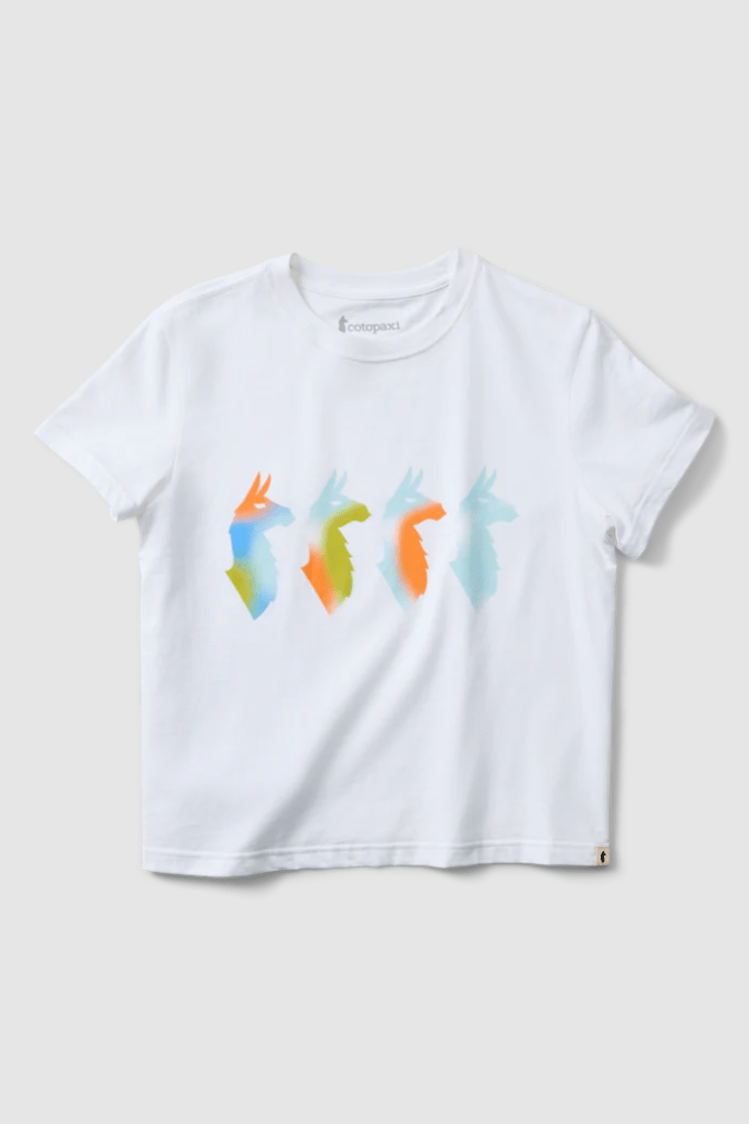 COTOPAXI Cuatro Bitmap T-Shirt