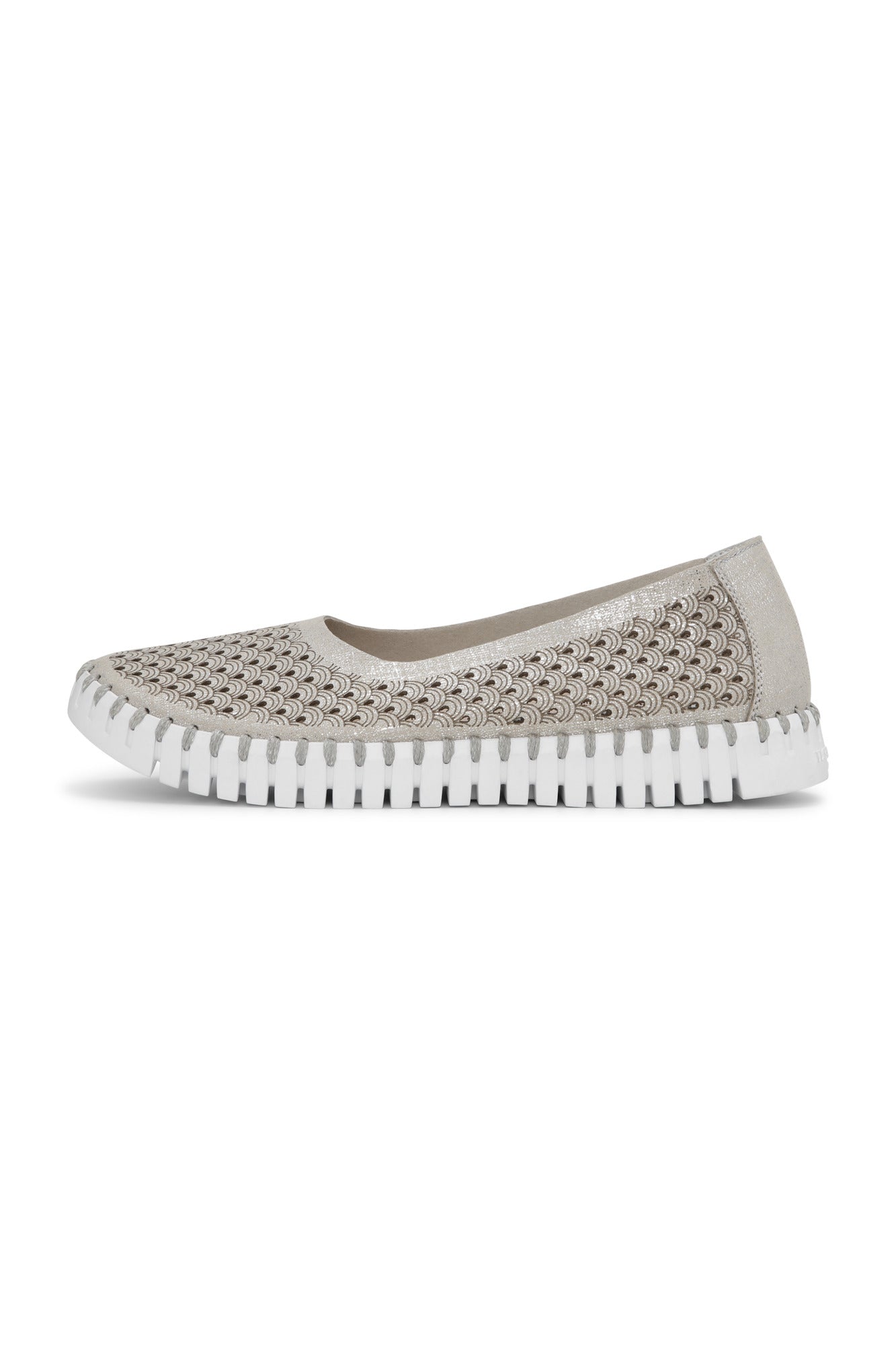 ILSE JACOBSEN Tulip Flats U0026